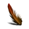 Feather  Image